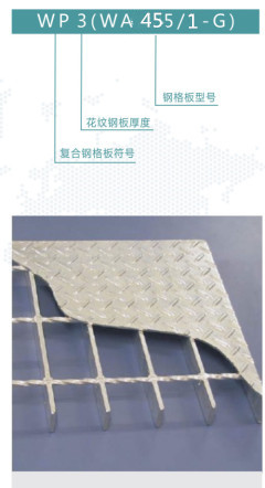 WP3WA455/1-G鋼格板是什么意思？